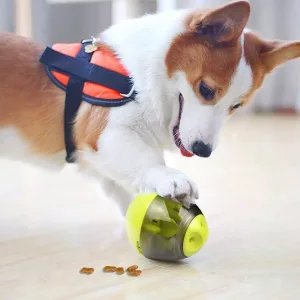 Jouet Interactif pour Chien