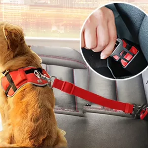 Harnais Ceinture de Sécurité pour Chien en Voiture