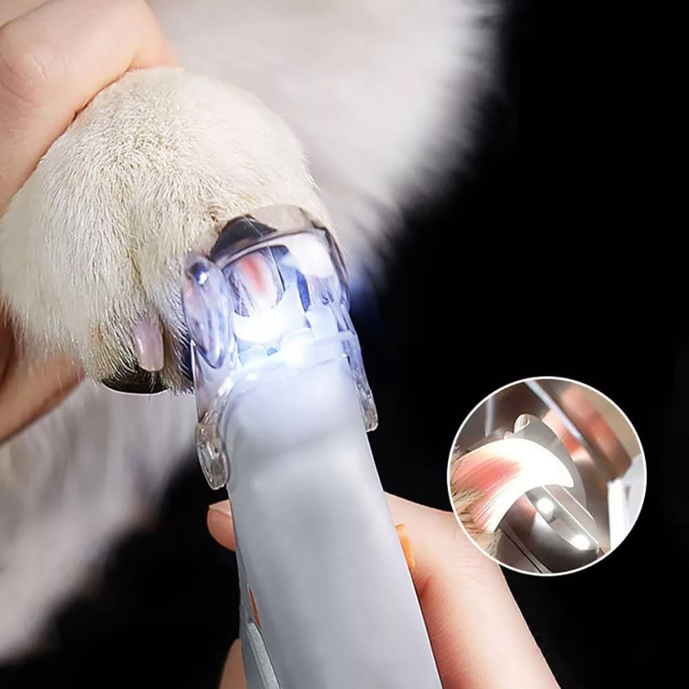Coupe-ongles pour chien avec lumière LED