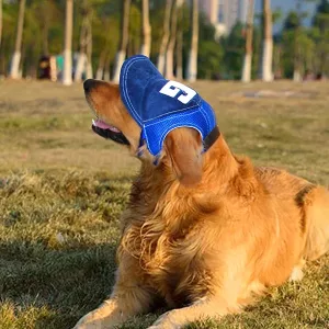 Dog Hat Baseball Pet Cap with Ear Holes