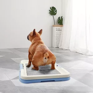 dog potty training, dog litter box, dog toilet, indoor dog potty, dog bathrooms, dog pad holder, potty pad holder