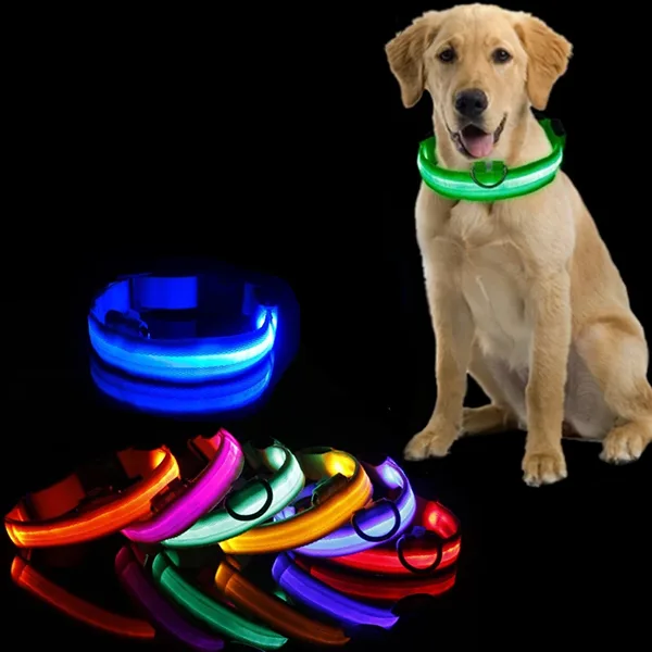 Collier Lumineux LED pour Chien Rechargeable