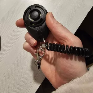 Reçu Clicker Portable pour Dressage de Chien du client D****n.