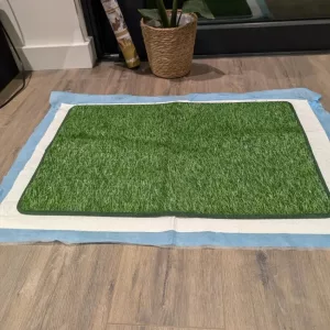 Tapis d'entraînement pour toilettes pour chien reçu du client T****e.