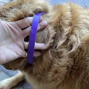 Reçu 3pcs Collier de Pheromone Apaisant pour Chien du client H***e