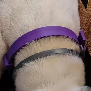 Reçu 3pcs Collier de phéromones apaisantes pour chien du client K***n