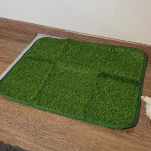 Reçu Tapis d'Apprentissage pour Toilettes pour Chien de la part du client J**h.