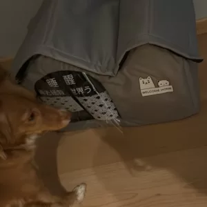 Reçu la Maison de Chien Climatisée d'Été du client L***a