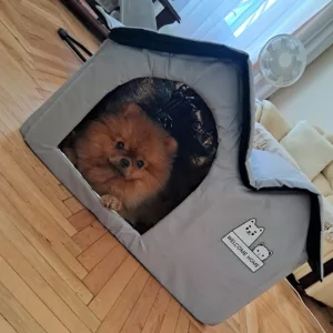 Reçu la Maison d'été climatisée pour chien de la cliente M***a