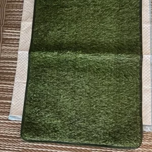 Reçu Tapis d'Apprentissage pour Toilettes pour Chien de la part du client E***a.
