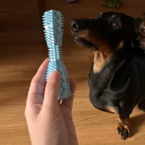 Jouet à mâcher pour le nettoyage des dents reçu du client N****e.