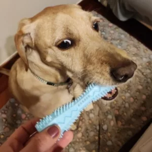 Reçu Jouet à Mâcher pour Nettoyage des Dents pour Chien de la part du client F****h.