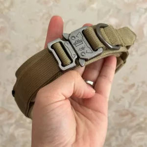 Collier d'entraînement tactique pour chien reçu avec boucle métallique de la part du client J***e.