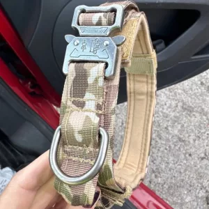 Collier de dressage tactique reçu avec boucle en métal de la part du client J****n.