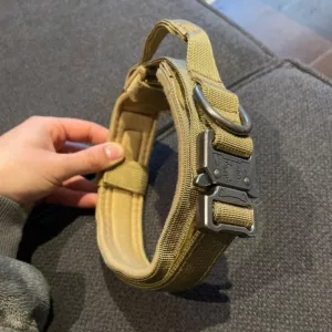Collier tactique d'entraînement pour chien reçu avec boucle métallique de la part du client S***e.