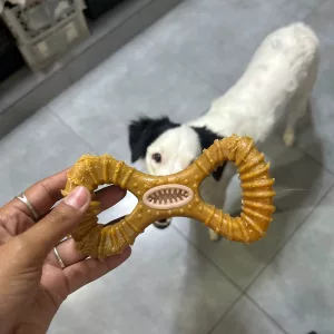 Reçu Jouet à Mâcher Indestructible en Bois pour le Nettoyage des Dents de la part du client M****k.