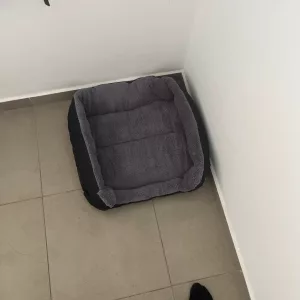 Lit pour chien lavable en peluche reçu du client B****p.