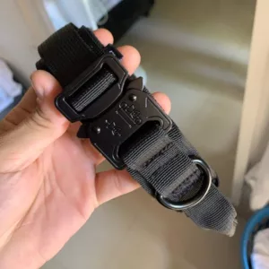 Collier de dressage tactique reçu avec boucle en métal du client N***a.