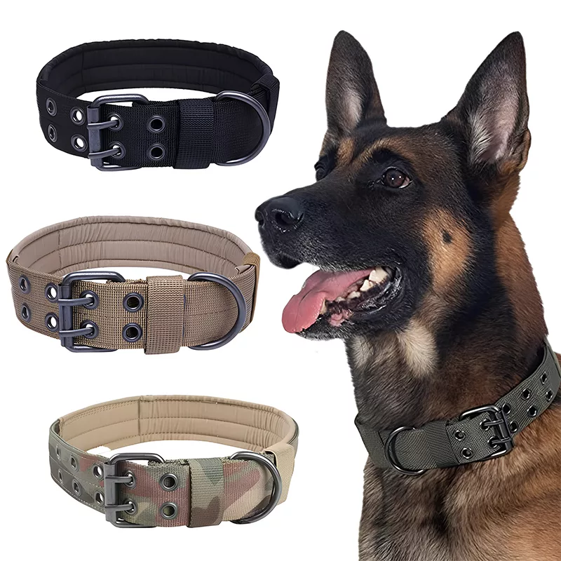 dog collar, tactical dog collar, military dog collar, adjustable dog collar