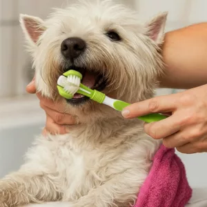 pet toothbrush