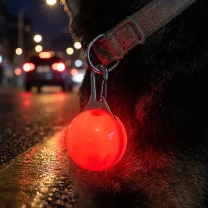 dog collar light, dog pendant